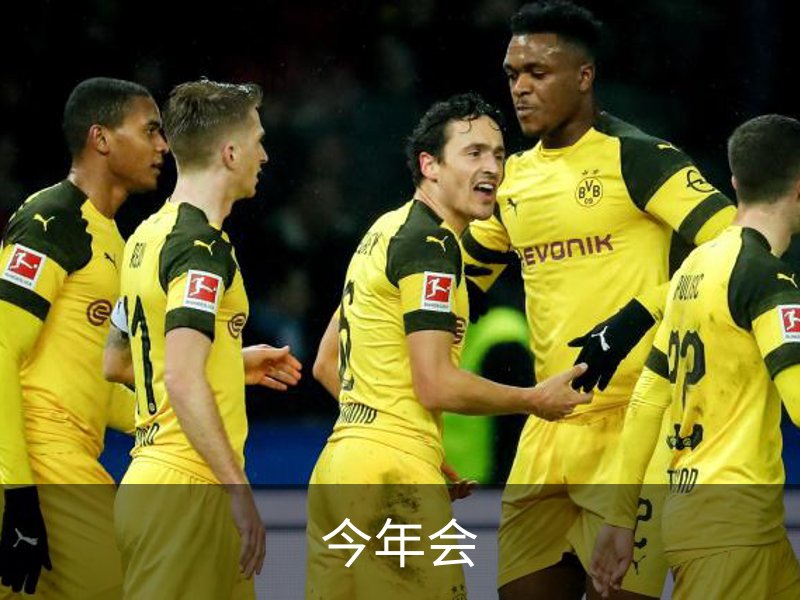 今年会介绍